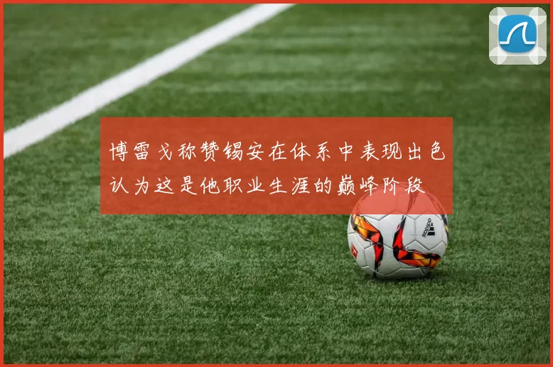 博雷戈称赞锡安在体系中表现出色认为这是他职业生涯的巅峰阶段